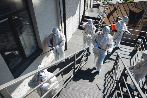 Tillamook, OR Mold Removal Company