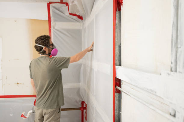 Best Environmental Consulting for Mold Prevention  in Tillamook, OR