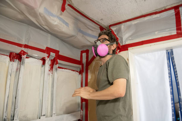 Asbestos and Lead Testing During Mold Inspection in Tillamook, OR