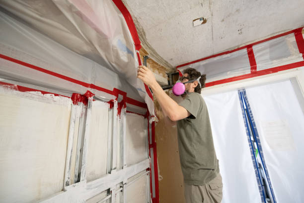 Best Post-Remediation Verification Testing  in Tillamook, OR