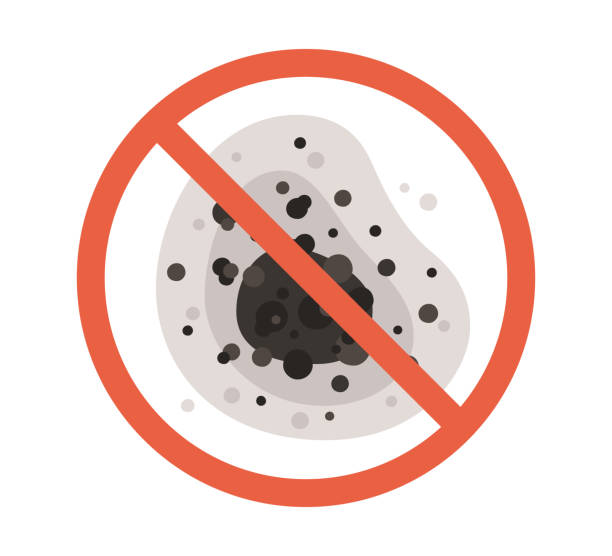 Best Mold Odor Removal Services  in Tillamook, OR