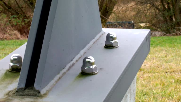 Best Forensic Mold Investigation  in Tillamook, OR